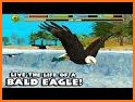 Eagle Simulator™ related image