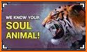 Which Animal Are You? related image