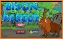 Bison Rescue related image