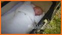 Lullabo: Lullaby for Babies related image