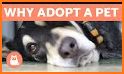Pet Finder: Adopt Dog, Cat or Post for Adoption related image