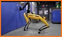 Real Dog Robot Transformation related image