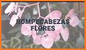 Puzzle flores related image