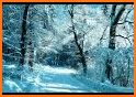 Winter Wallpaper related image