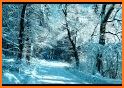 Winter Snow Night Wallpapers related image