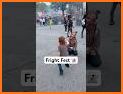 Flags Fest related image