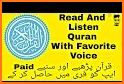 Quran Pro Muslim: MP3 Audio offline & Read Tafsir related image