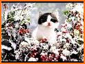 Kittens Lovely Live Wallpaper related image