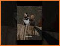 Grandpa Shooting Game - Granny Mod related image