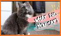 Translator for cats :3 Play with your pet related image