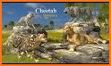 Cheetah Attack Simulator related image