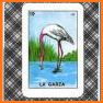 Baraja Lotería related image