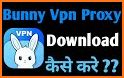 Bunny VPN Unblock your site related image