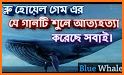 Blue Whale Theme related image