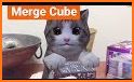 AR Kitten for Merge Cube related image