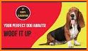 Pets Market Buy, Sell & Adopt related image