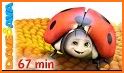 New Video Lady bug Episodes Collection related image