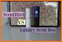 Luxury scent box related image