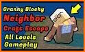Granny Blocky Neighbor. Craft Escape related image