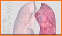 Respiratory System Anatomy Pro. related image
