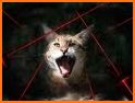Lazer chase for cats related image