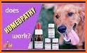 Homeopathy For Dog Owners related image