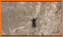 Masha Race The Bear: Mountain Hill Climb related image
