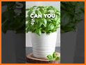 Quiz Journey: AI pictures related image