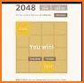 2048 World related image