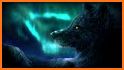 Arctic Wolf Live Wallpapers Themes related image