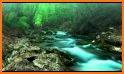 Nature Sounds :Peaceful, Sleep, Relax, Anti Stress related image