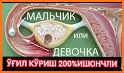 lalu: Homiladorlik kalendari related image