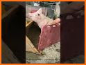 Livestock Loader related image