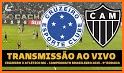 TV do Brasil ao Vivo related image