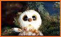 Rocky Owl's Christmas Story related image
