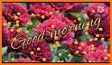 Good Morning & Flowers - Photos Gifs Wallpapers related image