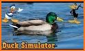 Ultimate Duck Family Simulator related image