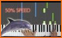 Dolphin Love Keyboard Theme related image
