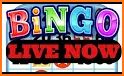 Let's Bingo Live related image