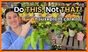 Plant with Care related image