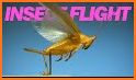 Flying Bugs related image