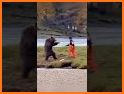 Innocent Brown Bear Escape related image