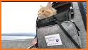 HopCat CatPack Rewards related image