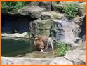 Pittsburgh Zoo & PPG Aquarium related image