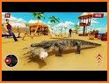Hungry Crocodile 2020: Crocodile Games related image