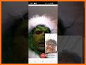 the Grinch Fake Video Call related image