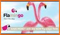 Flamingo Fares related image
