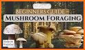 Vancouver Is. Mushroom Forager related image