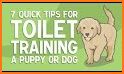 Puddle & Pile - Toilet Trainer related image