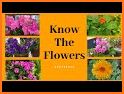 PlantMe - flower Plant identification and care related image